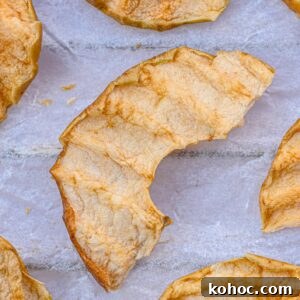 Crispy Homemade Apple Chips Recipe for Snacking and Gifts 4 Apple Chips