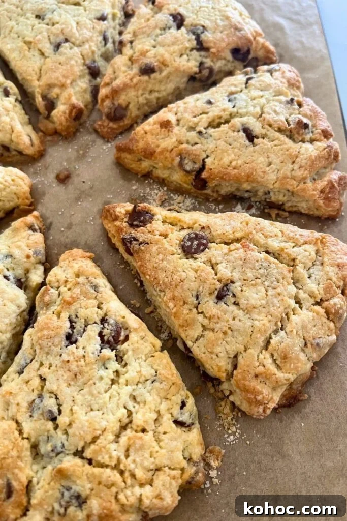 15+ Decadent Chocolate Sourdough Recipes to Try 14 Wedges of sourdough chocolate chip scones that have just come out of the oven.