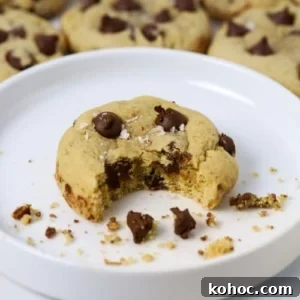 15+ Decadent Chocolate Sourdough Recipes to Try 20 Sourdough Chocolate Chip Cookies - Recipe Feature Image