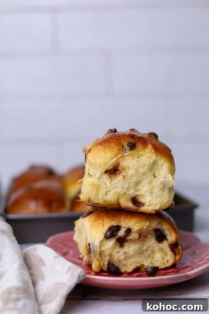 15+ Decadent Chocolate Sourdough Recipes to Try 24 Two chocolate chip sourdough brioche rolls stacked on top of one another sitting on a small pink plate.