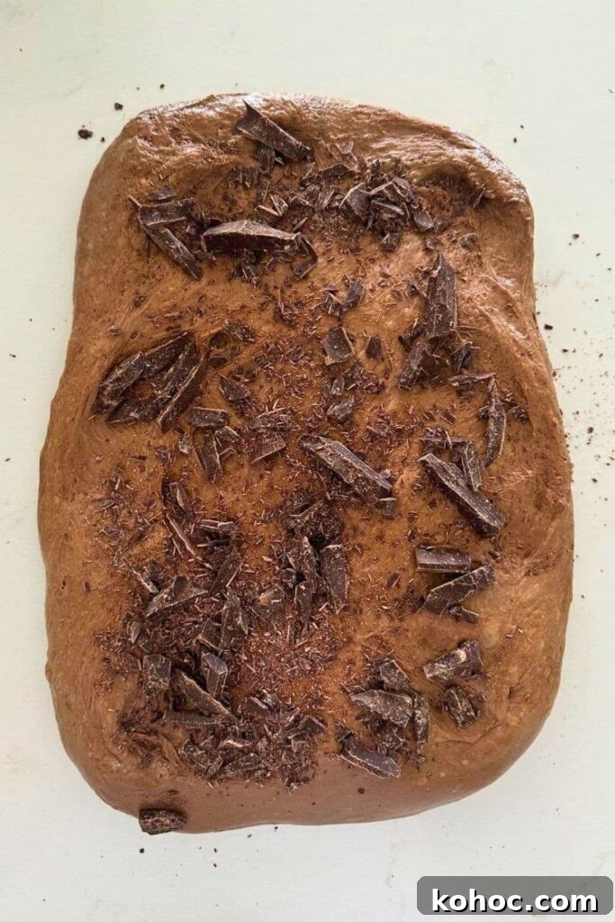 15+ Decadent Chocolate Sourdough Recipes to Try 4 A rectangle of chocolate sourdough laid out on the counter and topped with chunks of chocolate sprinkled over the top of the dough.