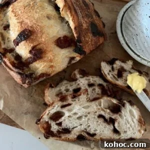15+ Decadent Chocolate Sourdough Recipes to Try 35 CHOCOLATE CHIP SOURDOUGH BREAD - RECIPE FEATURE IMAGE