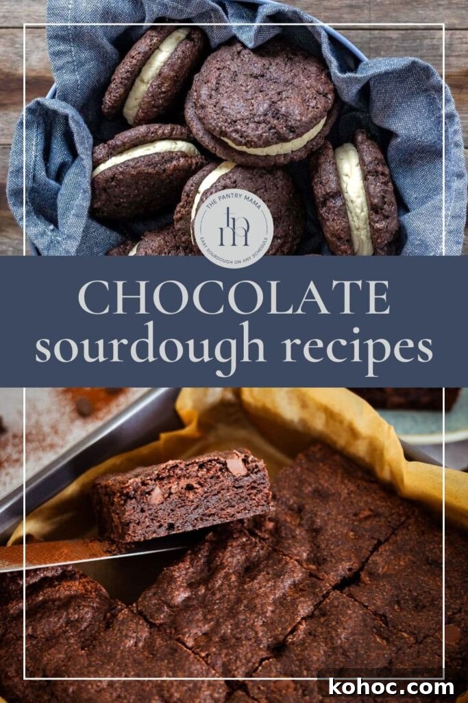 15+ Decadent Chocolate Sourdough Recipes to Try 36 Sourdough chocolate recipes - pinterest image