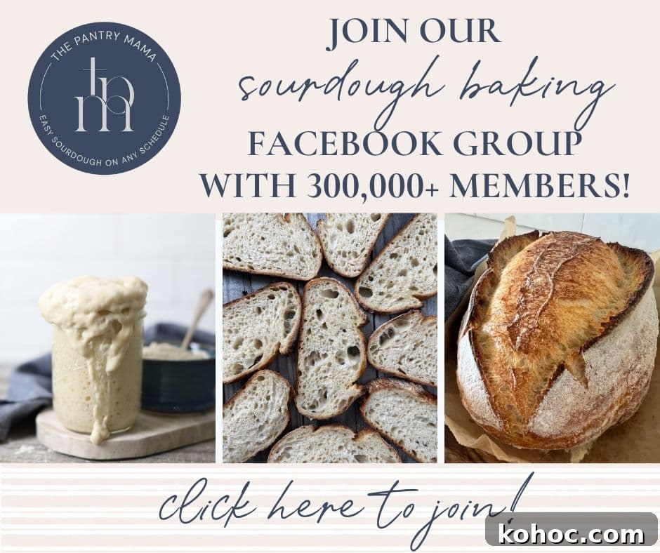 15+ Decadent Chocolate Sourdough Recipes to Try 37 img 30127 38