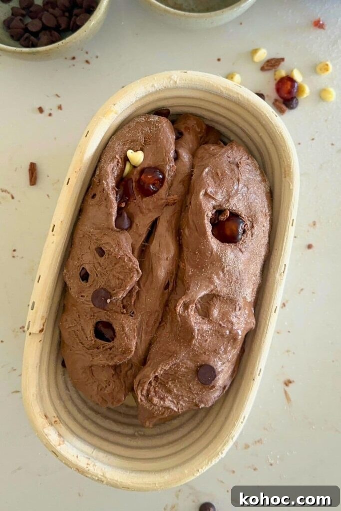 15+ Decadent Chocolate Sourdough Recipes to Try 5 A loaf of sourdough chocolate cherry bread that has been shaped and is sitting in a banneton. The dough is very tight and starting to split open at the bottom.