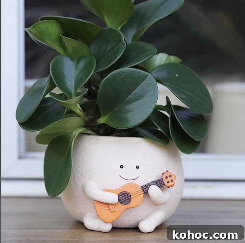 13 Striking Plants for Head Planters to Elevate Your Décor 10 plants for head planters