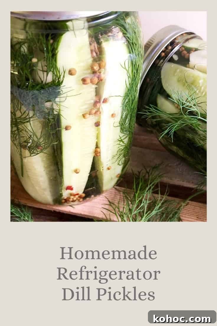 Homemade Refrigerator Dill Pickles