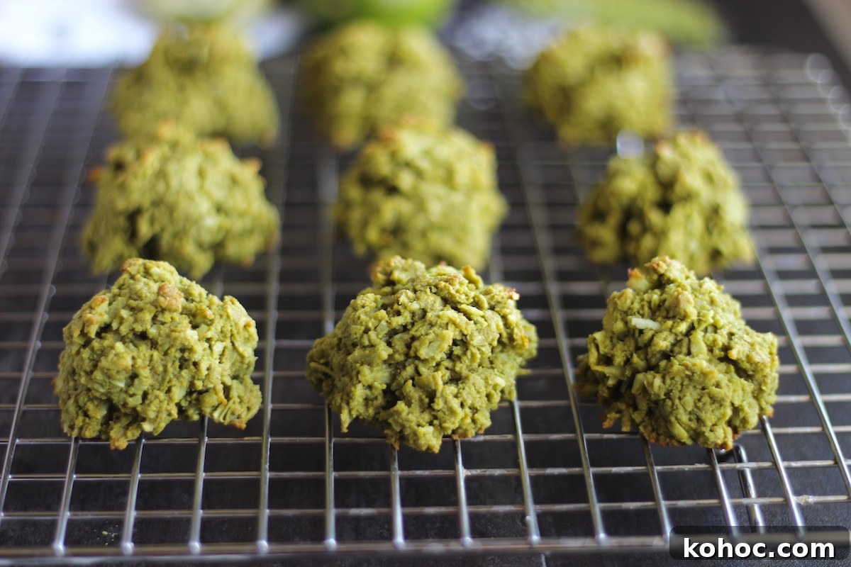 Paleo Matcha Lime Macaroons — AIP-Friendly Recipe 8 Paleo Matcha Lime Macaroons (AIP) - soft, chewy green coconut cookies, perfect for Spring or St. Patricks Day! | fedandfulfilled.com