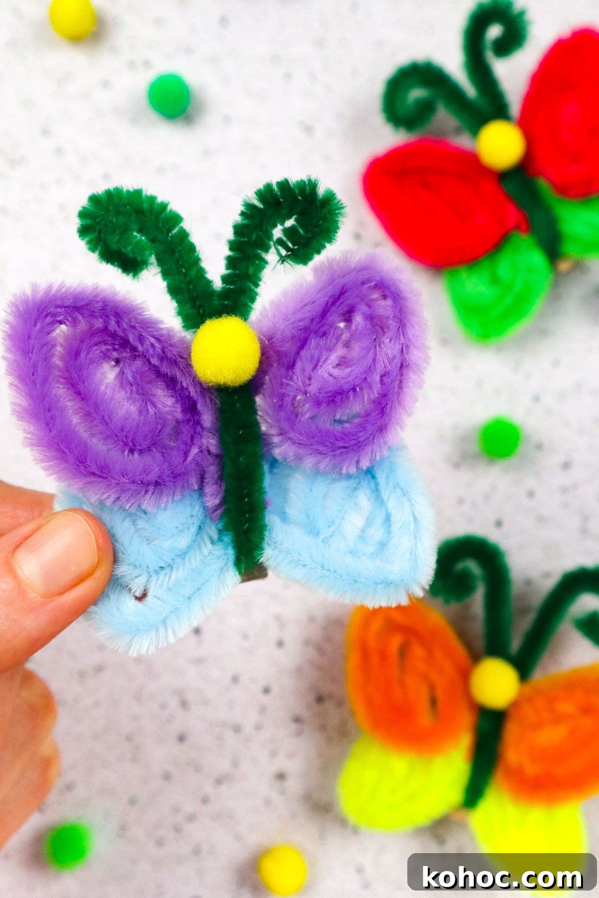 Pipe Cleaner Butterflies