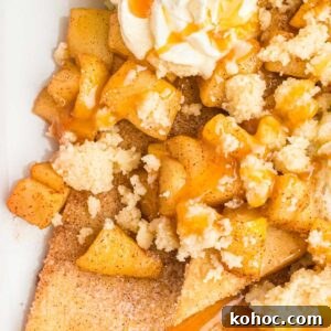 Apple Pie Nachos: Cinnamon Sugar Chip Dessert Recipe 10 close up view of cinnamon apples topped with caramel