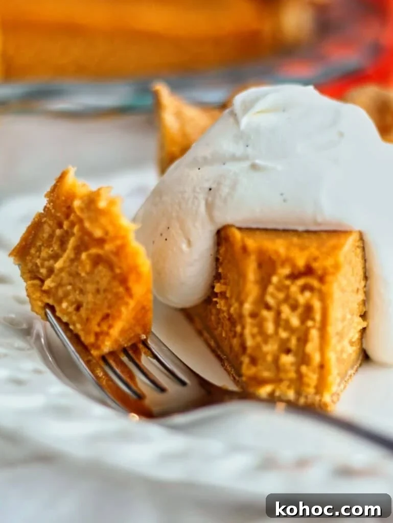 Gluten-Free Cream Cheese Pumpkin Pie Recipe 4 bite of pumpkin pie on fork with whipped cream on white plate.