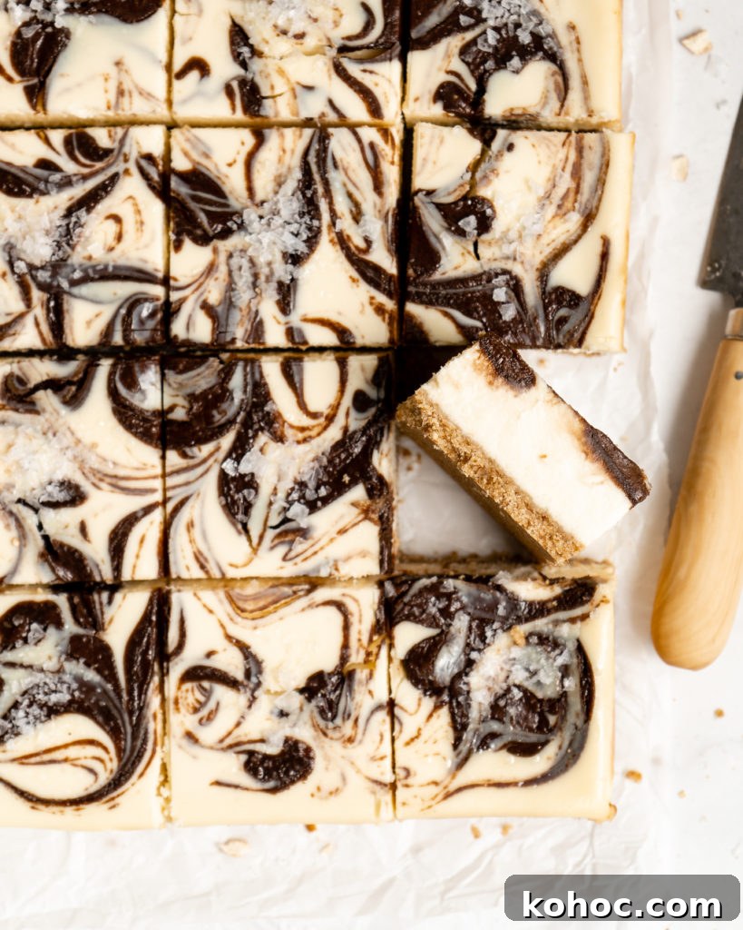 Closeup of Chocolate SunButter Cheesecake Bars
