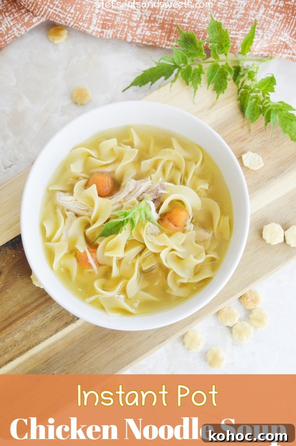 Instant Pot Chicken Noodle Soup with text 