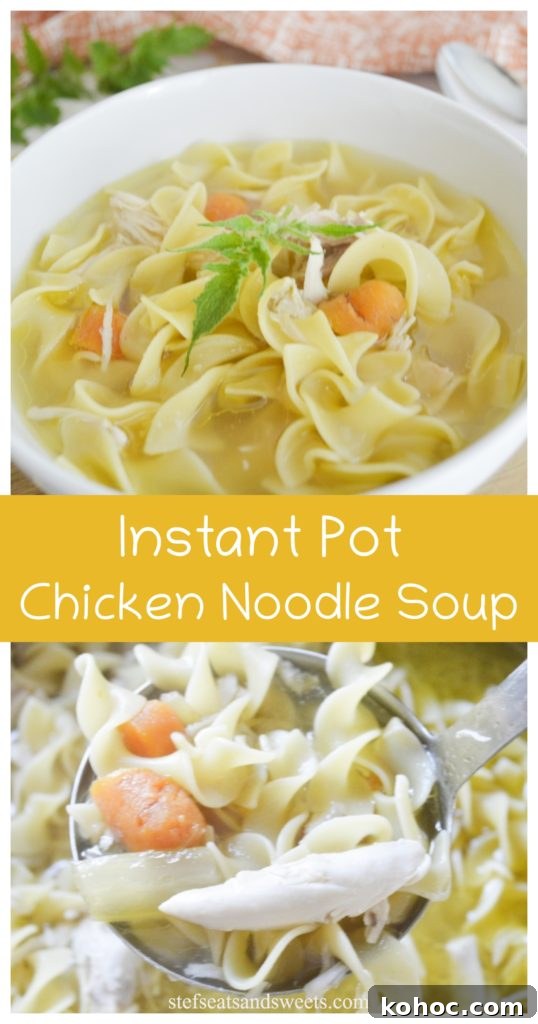Instant Pot Chicken Noodle Soup pinterest collage 