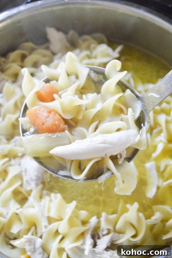 chicken noodle soup on ladle 