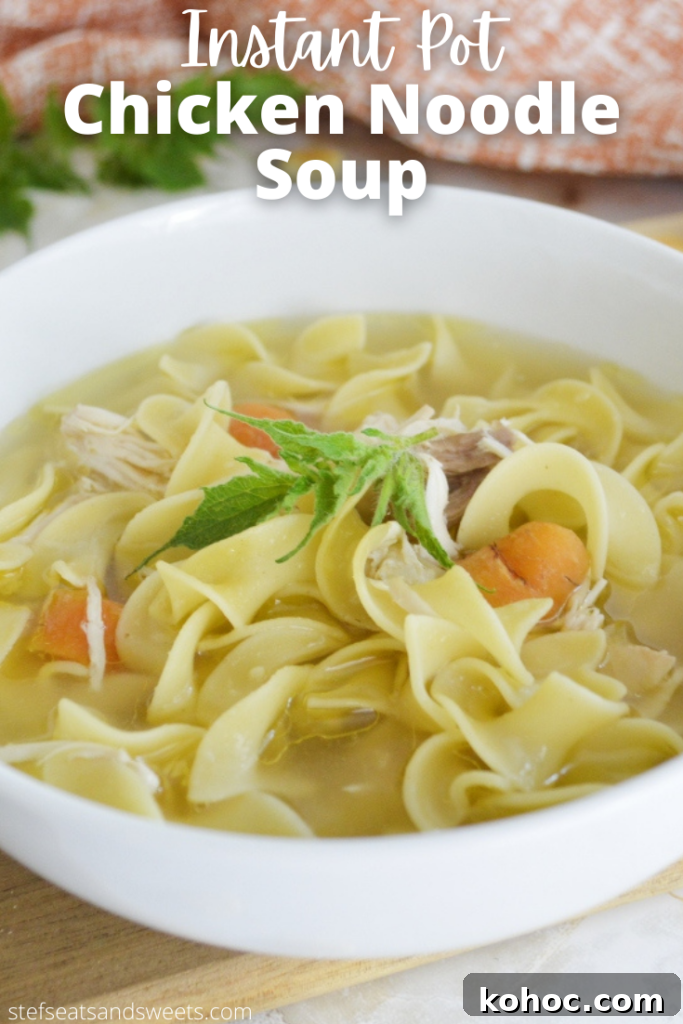 Instant pot Chicken noodle soup pinterest image with text 