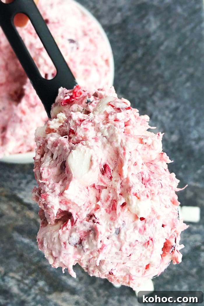 Creamy Cranberry Fluff Salad with Whipped Cranberry Sauce 4 Fresh Cranberry Fluff Salad Recipe