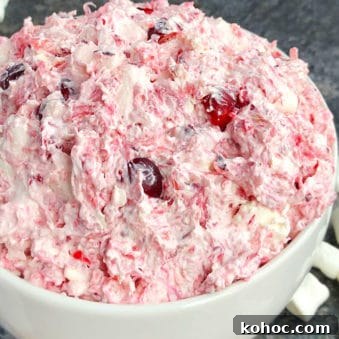 Creamy Cranberry Fluff Salad with Whipped Cranberry Sauce 5 Easy Cranberry Salad Recipe