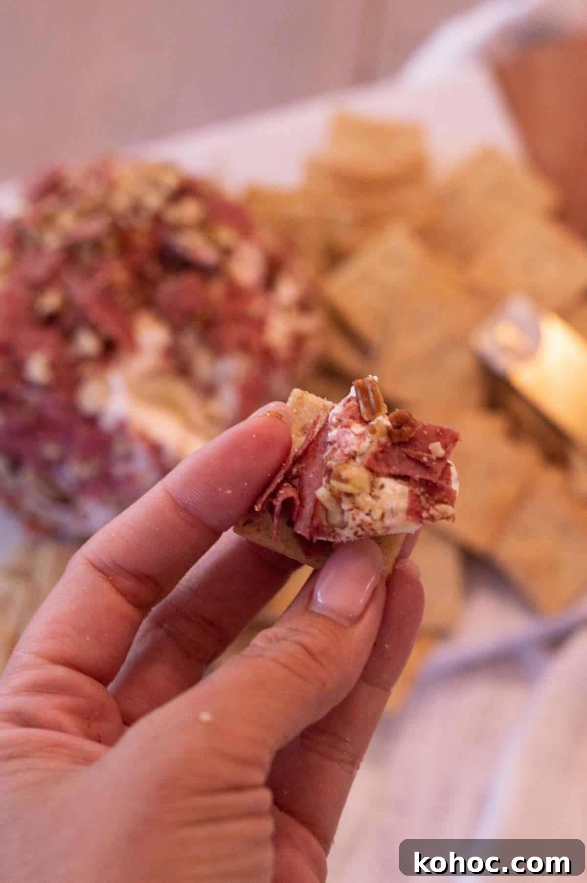 Savory Beef Cheeseball Appetizer Recipe 3 Best Beef Cheeseball on a cracker