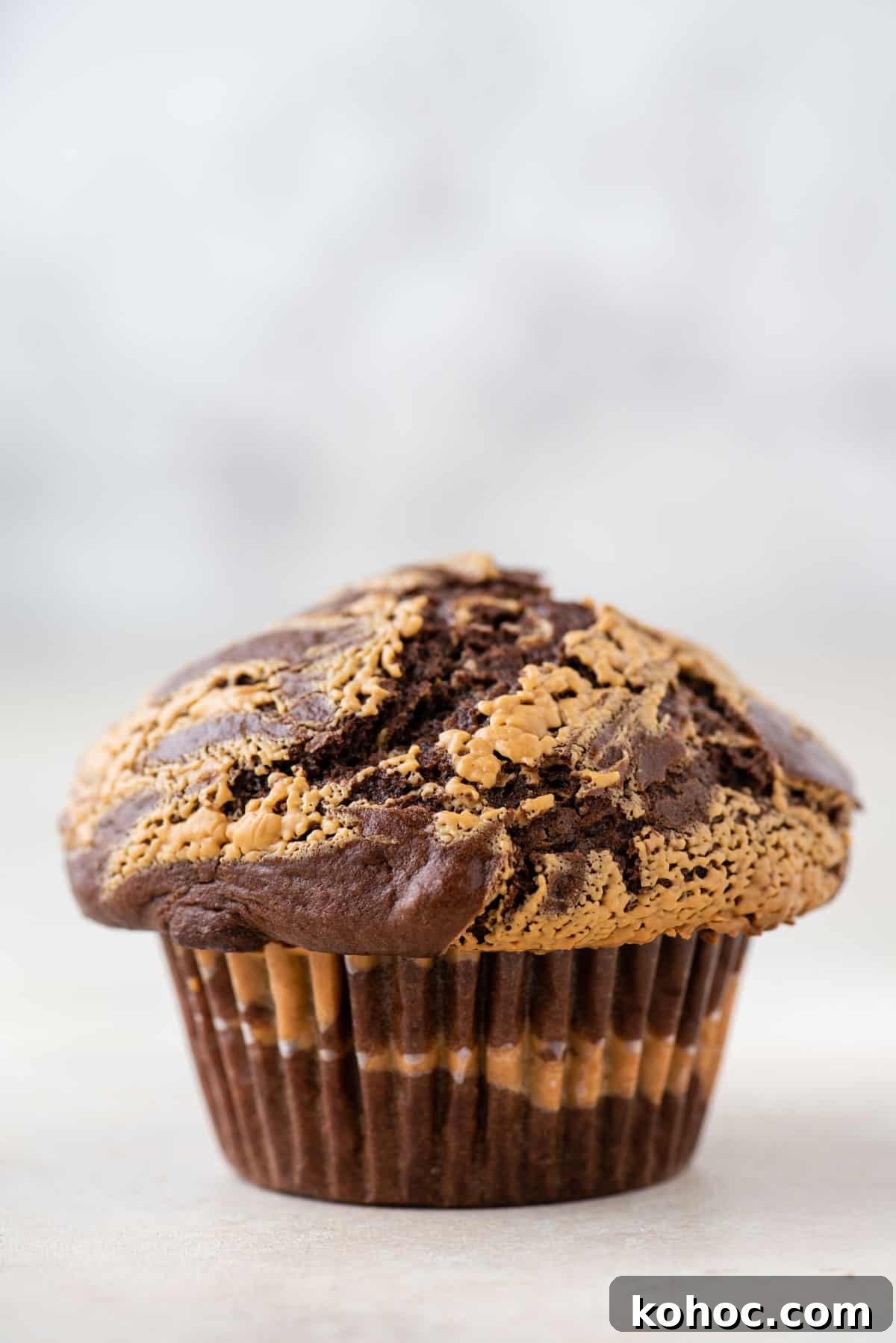 one single chocolate peanut butter muffin