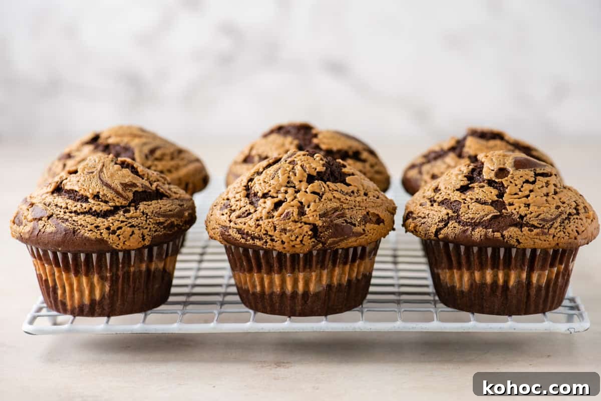 chocolate peanut butter muffins lined up on a cooling rack