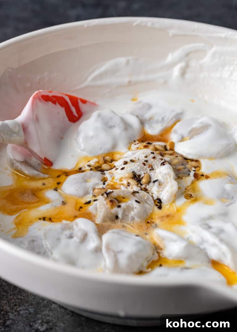 Shish Barak: Lebanese Lamb Dumplings in Yogurt Sauce 14 closeup: yogurt sauce for meat dumplings