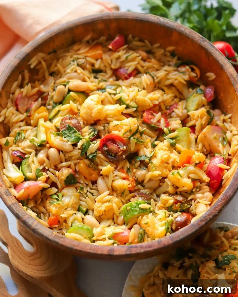Mediterranean White Bean and Orzo Salad with Lemon Vinaigrette 2 white bean and orzo salad