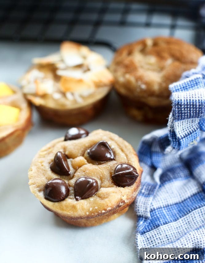 15 Quick 5-Ingredient Blender Muffin Recipes 2 Blender Muffins recipe with chocolate chips