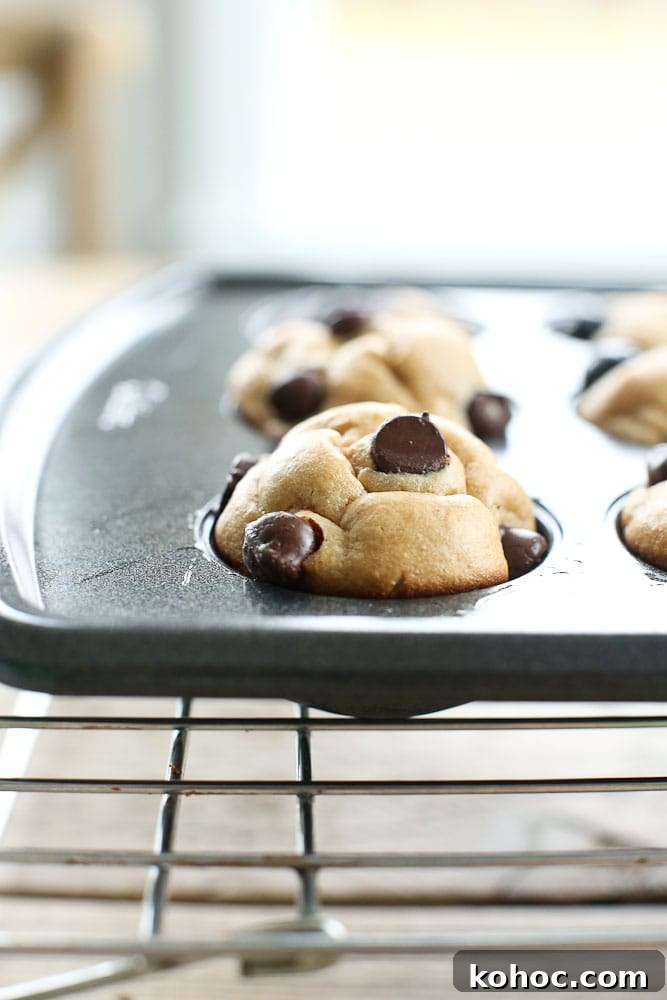 15 Quick 5-Ingredient Blender Muffin Recipes 10 Blender Muffins flourless cooling