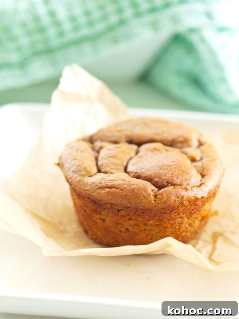 15 Quick 5-Ingredient Blender Muffin Recipes 14 Flourless Sweet Potato Blender Muffin