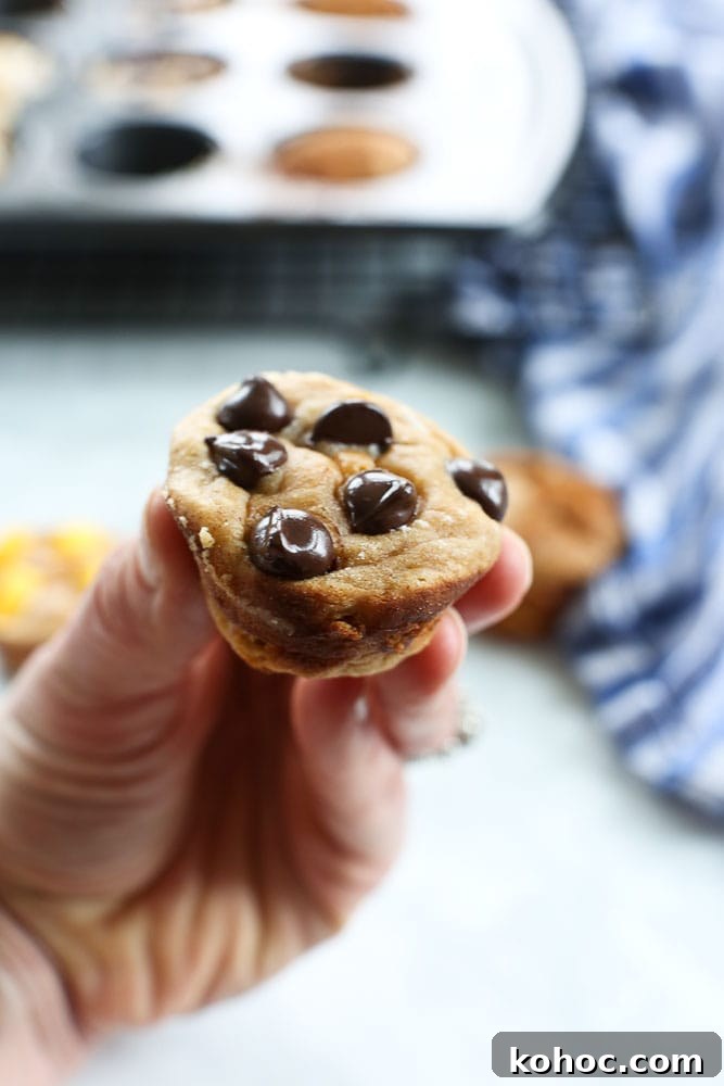 15 Quick 5-Ingredient Blender Muffin Recipes 7 Blender Muffins recipe flourless
