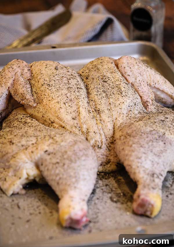 Rosemary Spatchcock Chicken on the Grill — Video Tutorial 3 Raw spatchcock chicken rubbed with spices