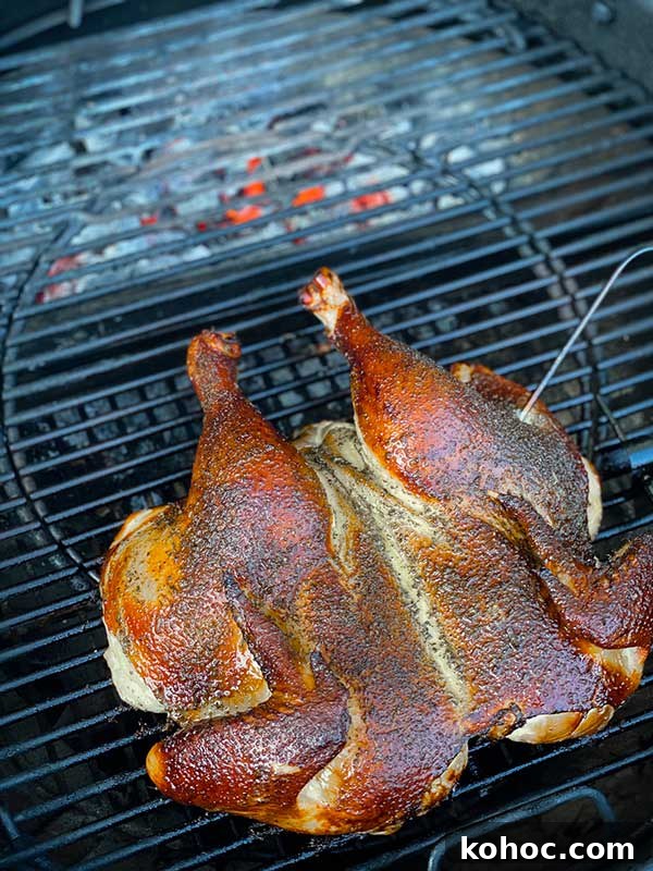 Rosemary Spatchcock Chicken on the Grill — Video Tutorial 5 Grilled Spatchcock Rosemary chicken