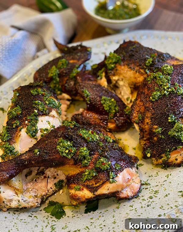 Rosemary Spatchcock Chicken on the Grill — Video Tutorial 6 Spatchcock Rosemary chicken with chimichurri sauce