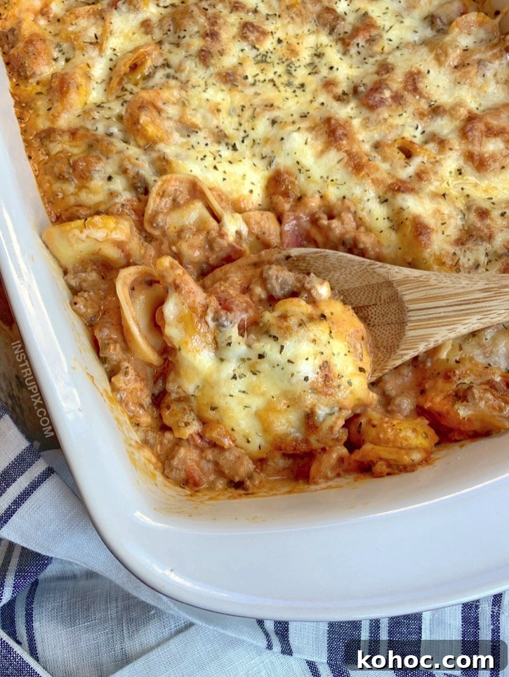 Quick, easy and cheap dinner idea for large families with kids! Even picky eaters love this recipe. Cheesy Baked Tortellini Casserole With Meat Sauce