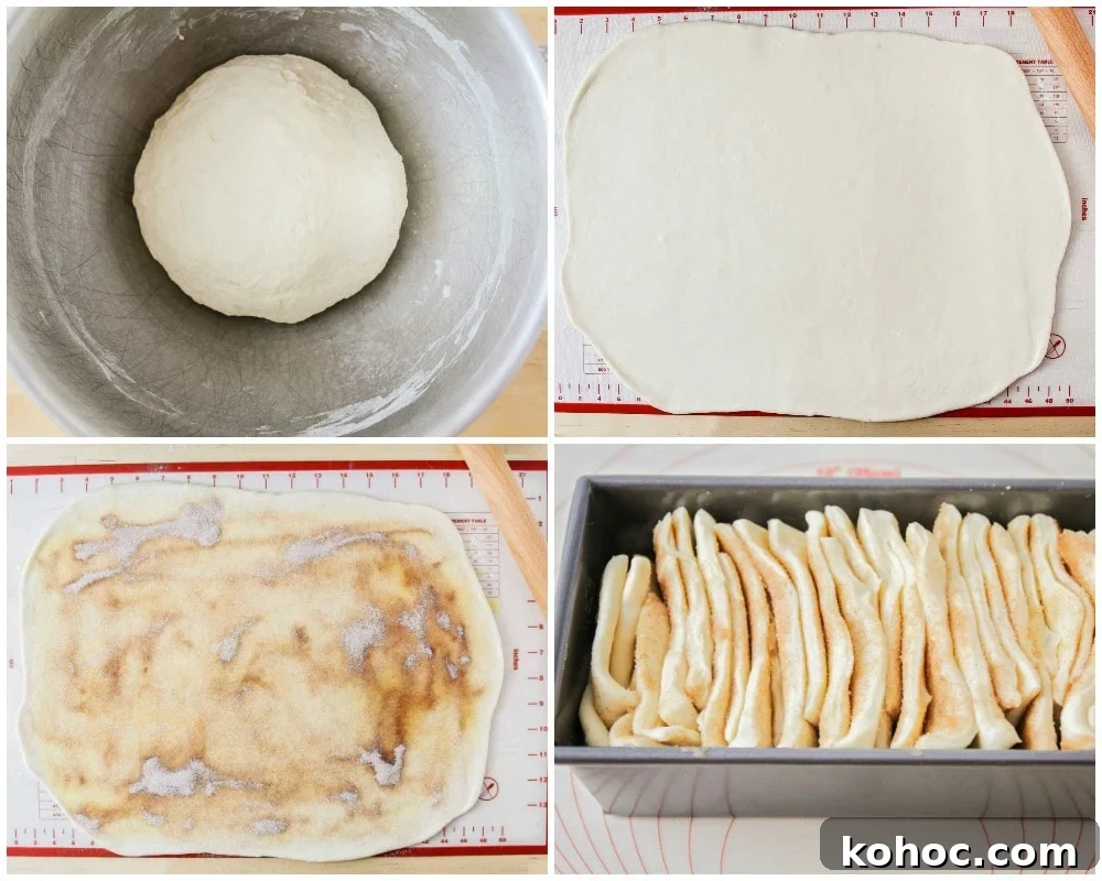 process shots of dough rising, being rolled out, covered with cinnamon sugar, sliced, and placed in pan