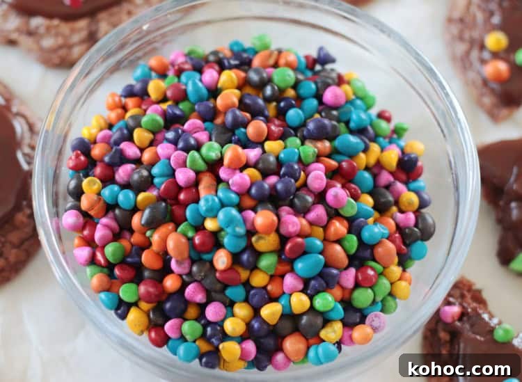 bowl of chocolate rainbow chips