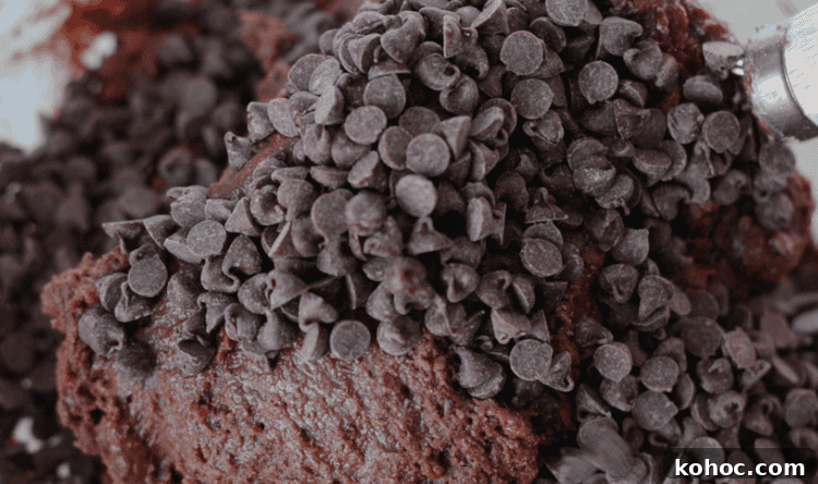 brownie cookie dough with mini chocolate chips