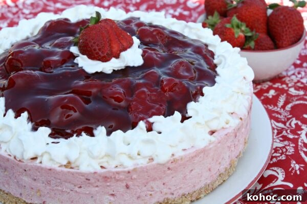 9 Refreshing No-Bake Summer Desserts That Beat the Heat 2 img 6003 1