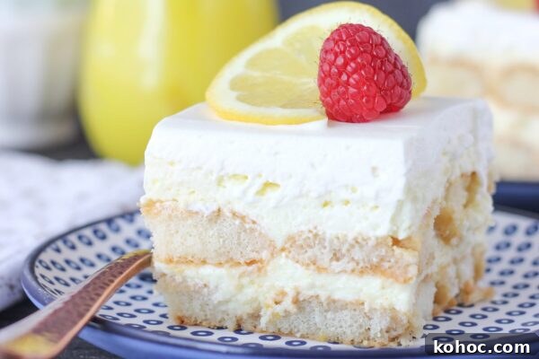 9 Refreshing No-Bake Summer Desserts That Beat the Heat 3 img 6003 2