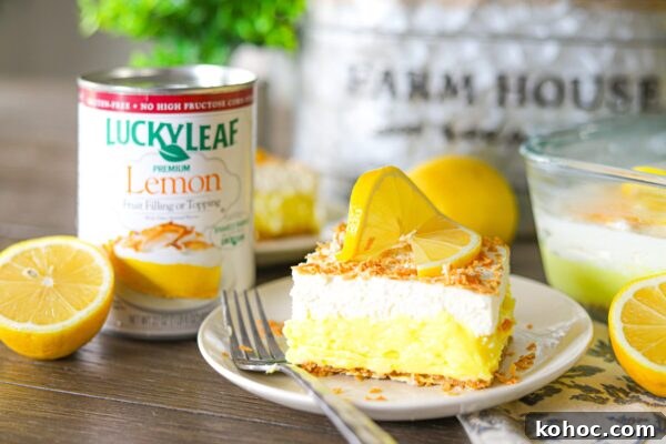 9 Refreshing No-Bake Summer Desserts That Beat the Heat 5 img 6003 4