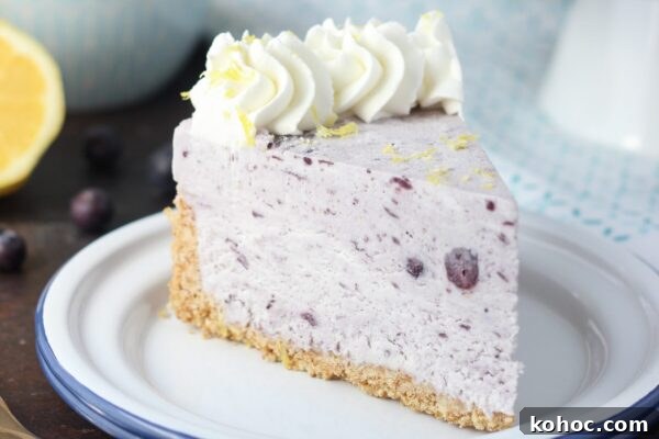 9 Refreshing No-Bake Summer Desserts That Beat the Heat 10 img 6003 9
