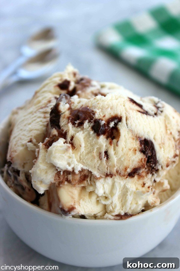 Bailey's Ice Cream with Guinness Chocolate Ripple Ice Cream- The ULTIMATE St. Patrick's Day Adult dessert. Super easy with No Ice Cream Machine needed. The flavors are over the top delish.