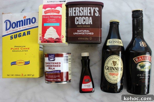 Bailey's Ice Cream with Guinness Chocolate Ripple Ice Cream- The ULTIMATE St. Patrick's Day Adult dessert. Super easy with No Ice Cream Machine needed. The flavors are over the top delish.