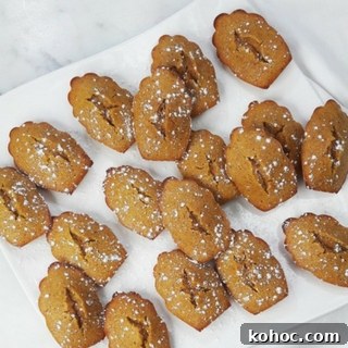 Honey Pumpkin Madeleines