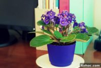 Cherished Memories: Ways to Preserve Your Most Treasured Moments