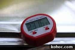 How to Smoke Ribs and Other Meats Without a Smoker 9 Instant read thermometer