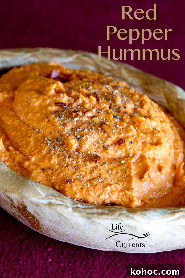Roasted Red Pepper Hummus Sandwich Recipe for Flavorful Lunch 3 Roasted Red Pepper Hummus Sandwich with Caramelized Onions