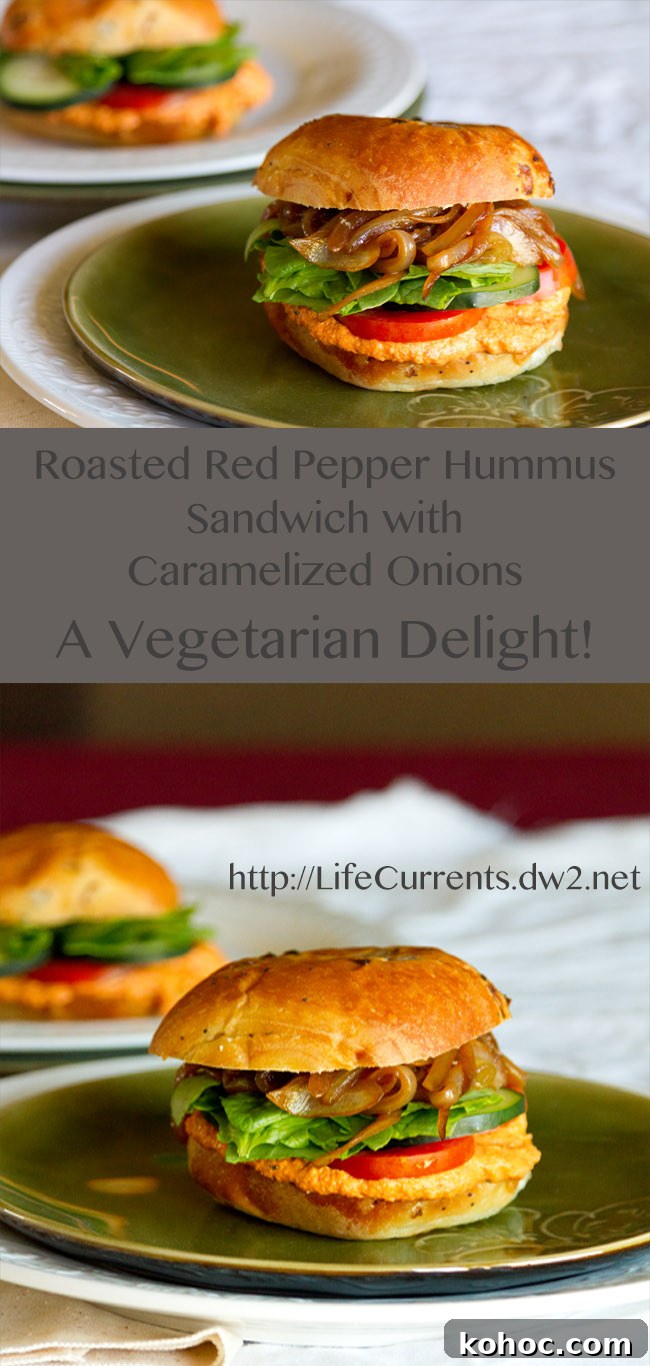 Roasted Red Pepper Hummus Sandwich Recipe for Flavorful Lunch 8 Roasted Red Pepper Hummus Sandwich with Caramelized Onions - a vegetarian delight