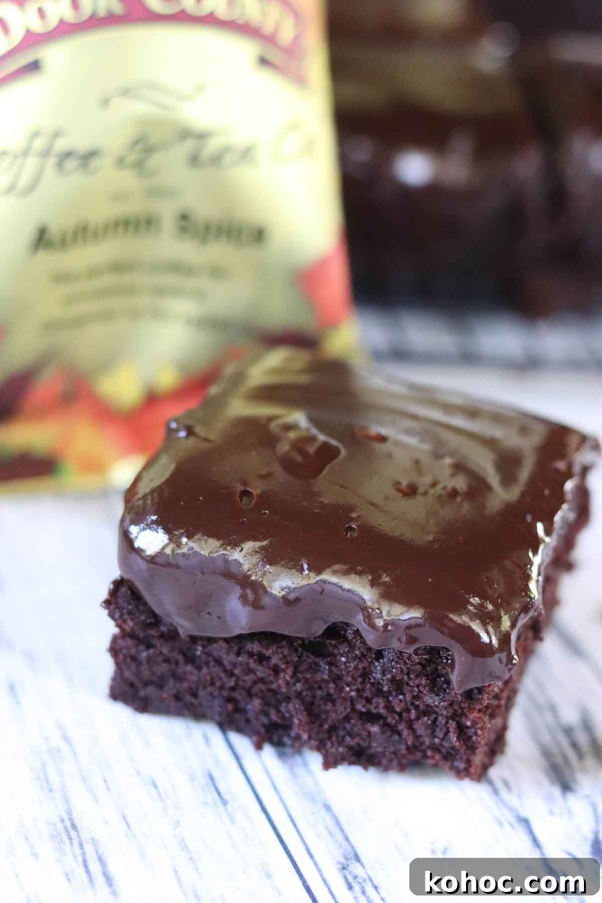 Autumn Spice Mocha Cake with Coffee Ganache